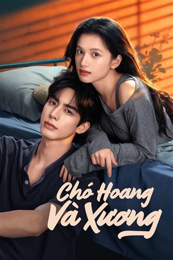 Chó Hoang Và Xương