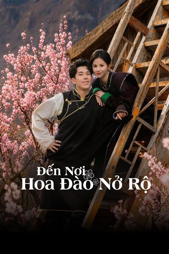 Đến Nơi Hoa Đào Nở Rộ - What Place Blossoms Bloom 2
