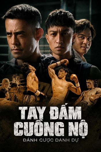 Tay Đấm Cuồng Nộ Đánh Cược Danh Dự