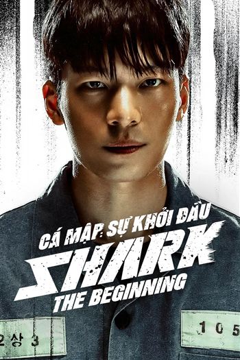 Cá Mập Sự Khởi Đầu
